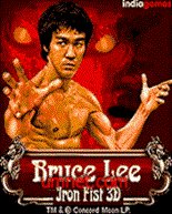 game pic for Bruce Lee Iron Fist 3D